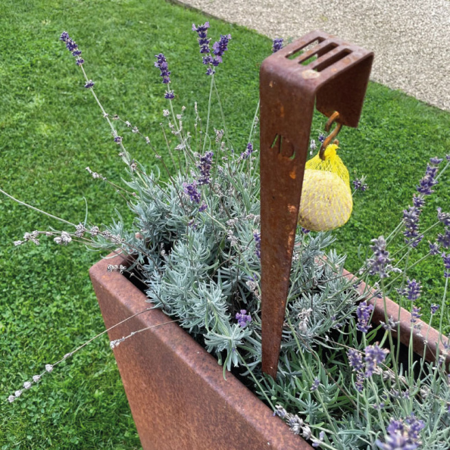 Support boule de graisse pour oiseaux, à piquer
