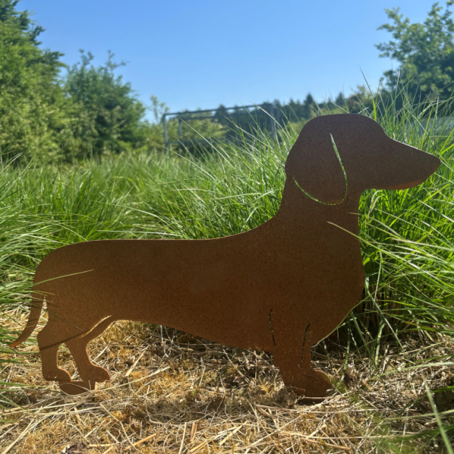 Teckel en Corten